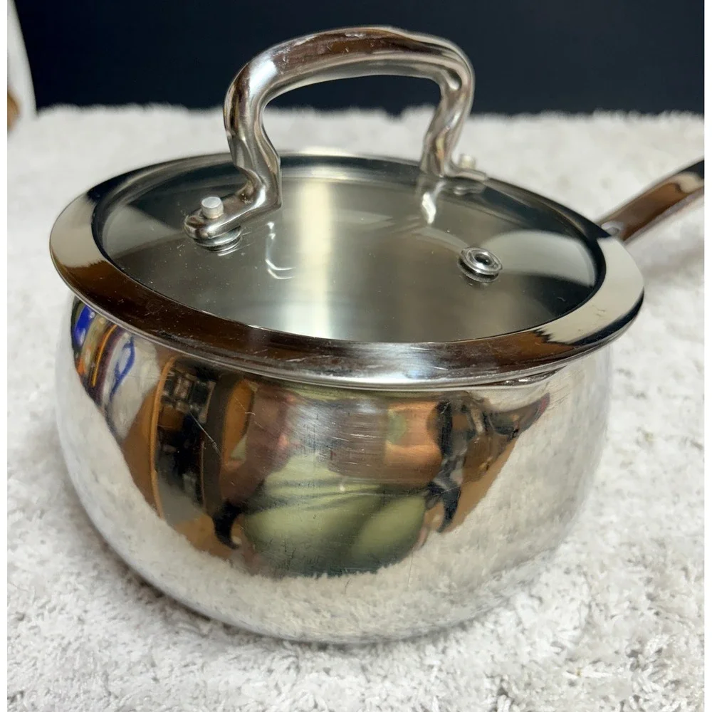 Biltmore For Your Home Stainless Steel 1.5 Qt Saucepan Vented Glass Lid 5.5in